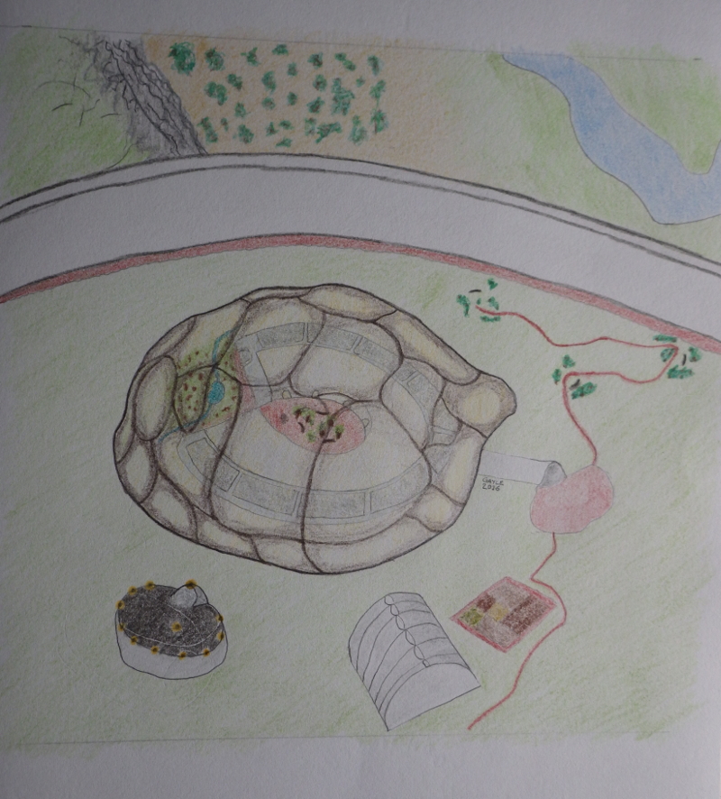 The Turtle Test original cover art.